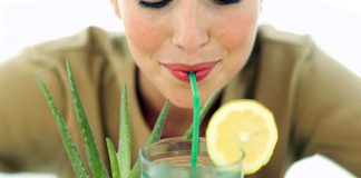 Aloes dla skóry i zdrowia – roślina dobra na wszystko?