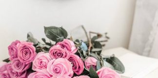 Przepiękne róże, czy wiesz co oznacza każdy kolor? Znaczenie kolorów róż