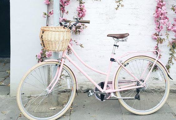 Wycieczka rowerowa – o co warto zadbać jadąc w trasę? Poradnik