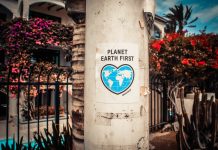 Minimalizm vs. Zero-Waste – podobieństwo czy całkowite przeciwieństwo? Sprawdź różnice! Jak działa zasada zero waste