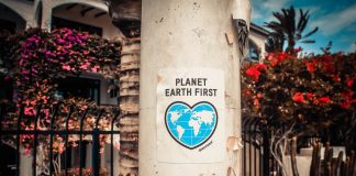 Minimalizm vs. Zero-Waste – podobieństwo czy całkowite przeciwieństwo? Sprawdź różnice! Jak działa zasada zero waste