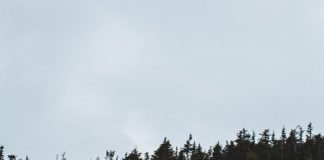 Akcesoria erotyczne dla par – co warto wybrać?