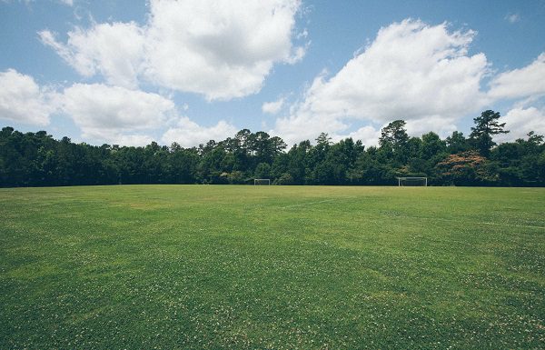 Jak używać wertykulatora w ogródku? Wertykulacja trawnika krok po kroku